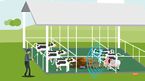 安樂(lè)福-智能動(dòng)物監(jiān)測(cè)產(chǎn)品演示動(dòng)畫(huà)_北京凱瑪-宣傳片拍攝制作公司-專(zhuān)業(yè)宣傳片拍攝,企業(yè)宣傳片,宣傳片制作